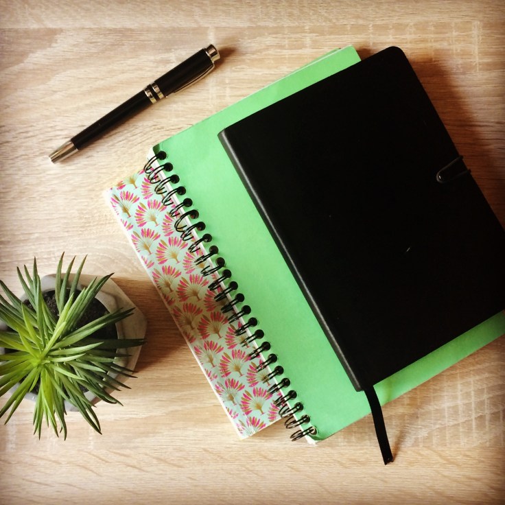 Mes carnets d'auteure