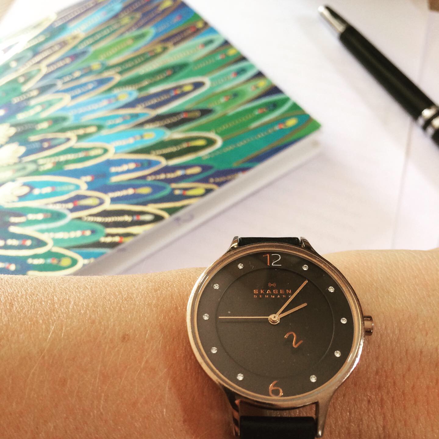 8E490A4A-72F1-449D-9233-EBB93FF78585