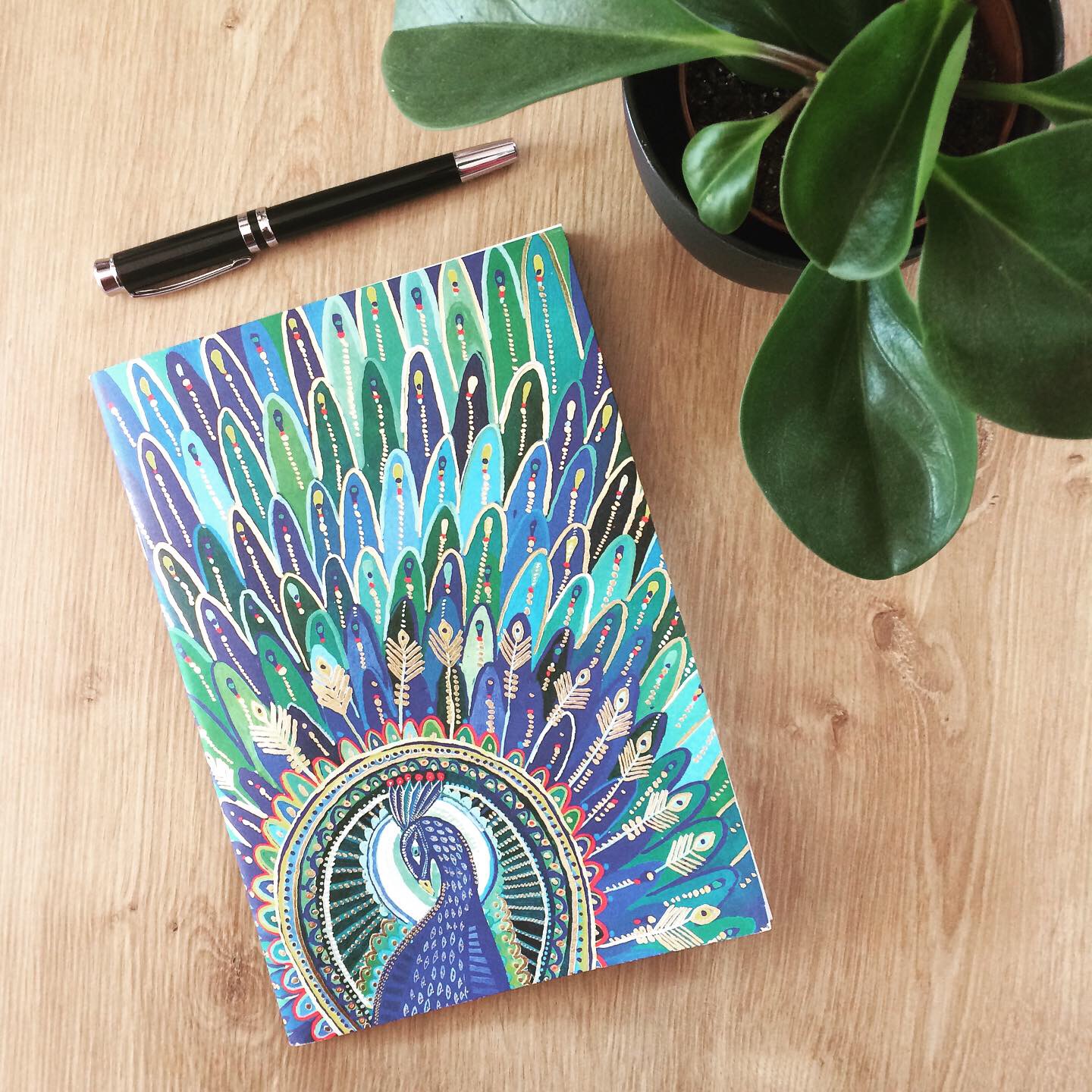 A55AAE51-0DC1-4AD0-A591-F1A0543DBCAB